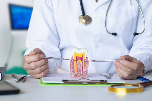 Best Urgent Dental Care  in Amberley, OH